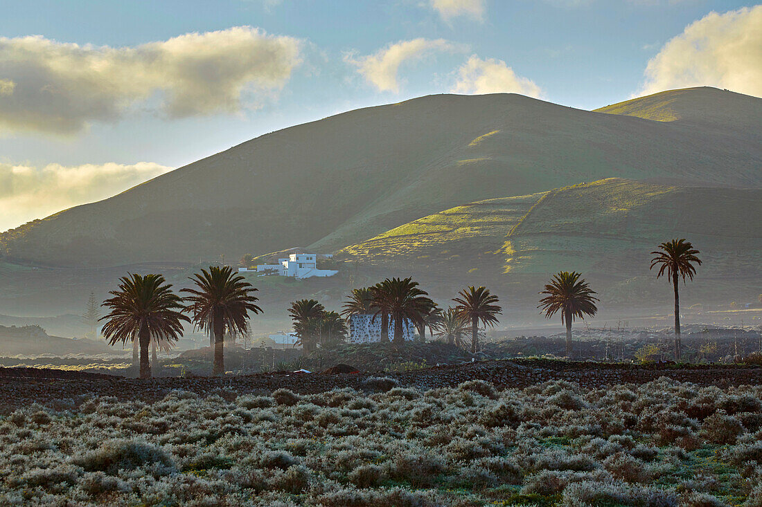 Morning fog near La Vegueta, Lanzarote, Canary Islands, Islas Canarias, Spain, Europe