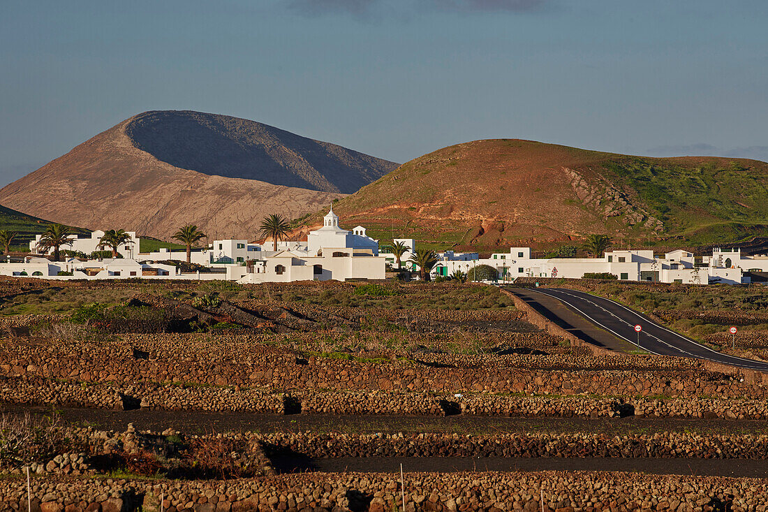 Caldera Blanca and Mancha Blanca in the morning, Lanzarote, Canary Islands, Islas Canarias, Spain, Europe