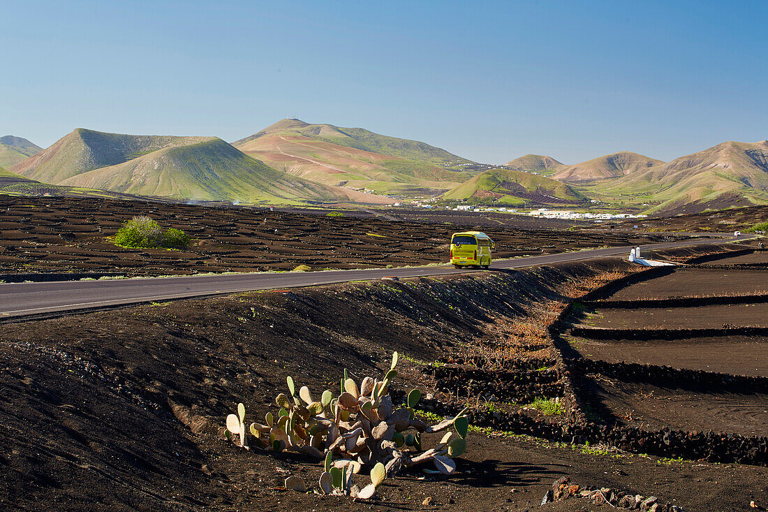 Weinbaugebiet La Geria, Lanzarote, Kanaren, Kanarische Inseln, Islas Canarias, Spanien, Europa