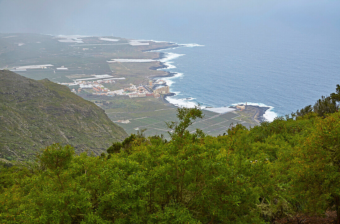 View across luxuriant vegetation at the sea and Puertito de los Silos, Tenerife, Canary Islands, Islas Canarias, Atlantic Ocean, Spain, Europe