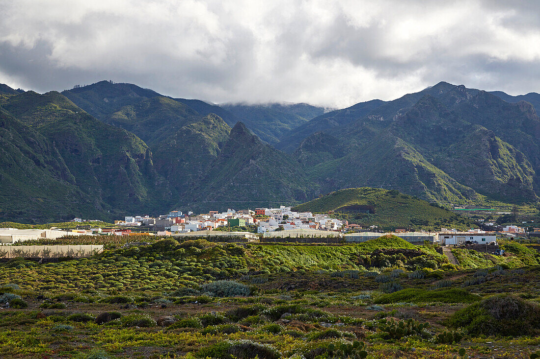 Blick von Puertito de los Silos über üppiges Grün Richtung La Tierra del Trigo, Teneriffa, Kanaren, Kanarische Inseln, Islas Canarias, Atlantik, Spanien, Europa