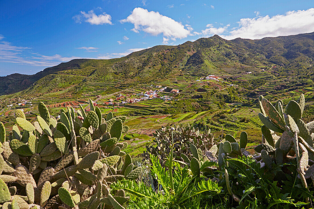 Blick über üppiges Grün auf Las Portelas, Teno Gebirge, Teneriffa, Kanaren, Kanarische Inseln, Islas Canarias, Atlantik, Spanien, Europa