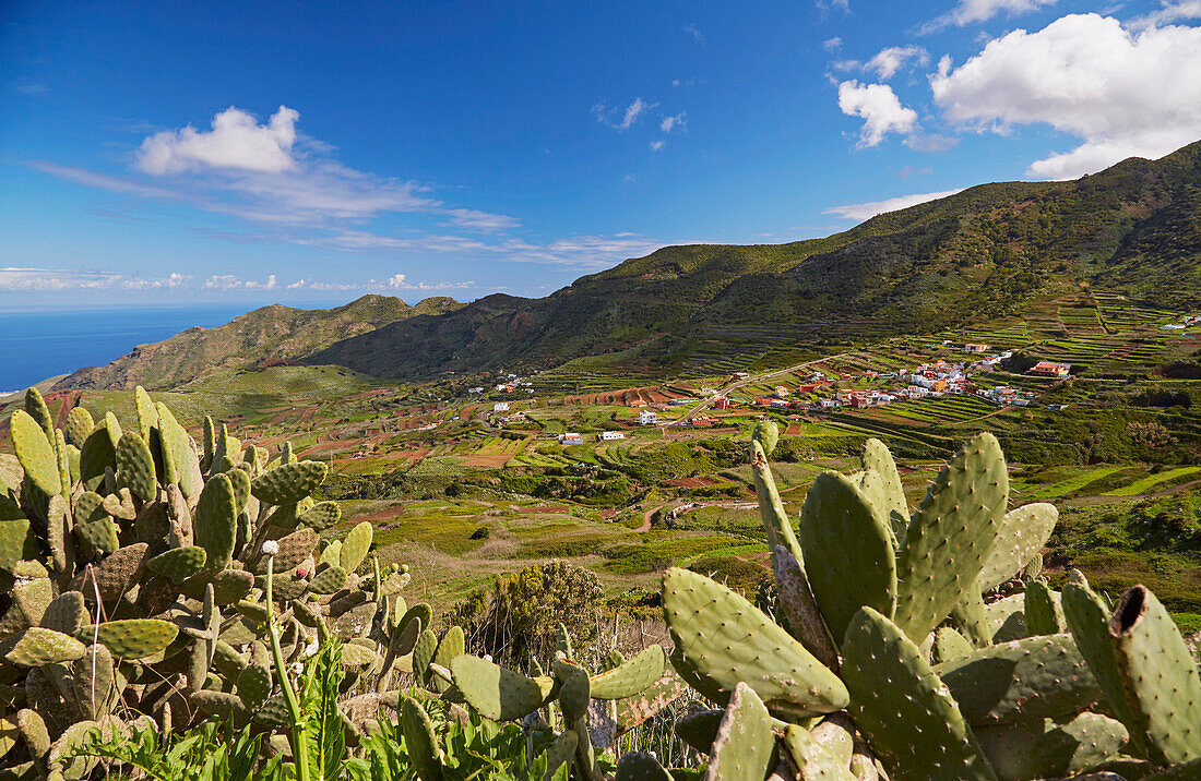Blick über üppiges Grün auf Las Portelas, Teno Gebirge, Teneriffa, Kanaren, Kanarische Inseln, Islas Canarias, Atlantik, Spanien, Europa