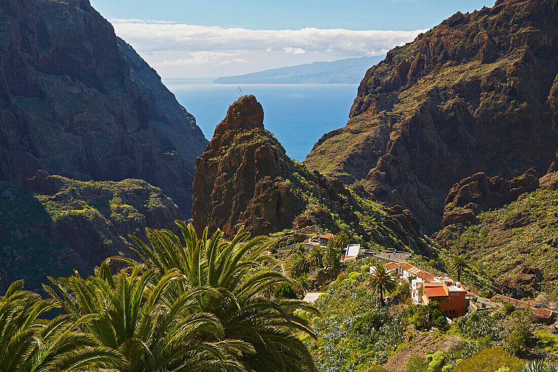 Blick über üppiges Grün auf Masca, Teno Gebirge, Teneriffa, Kanaren, Kanarische Inseln, Islas Canarias, Atlantik, Spanien, Europa