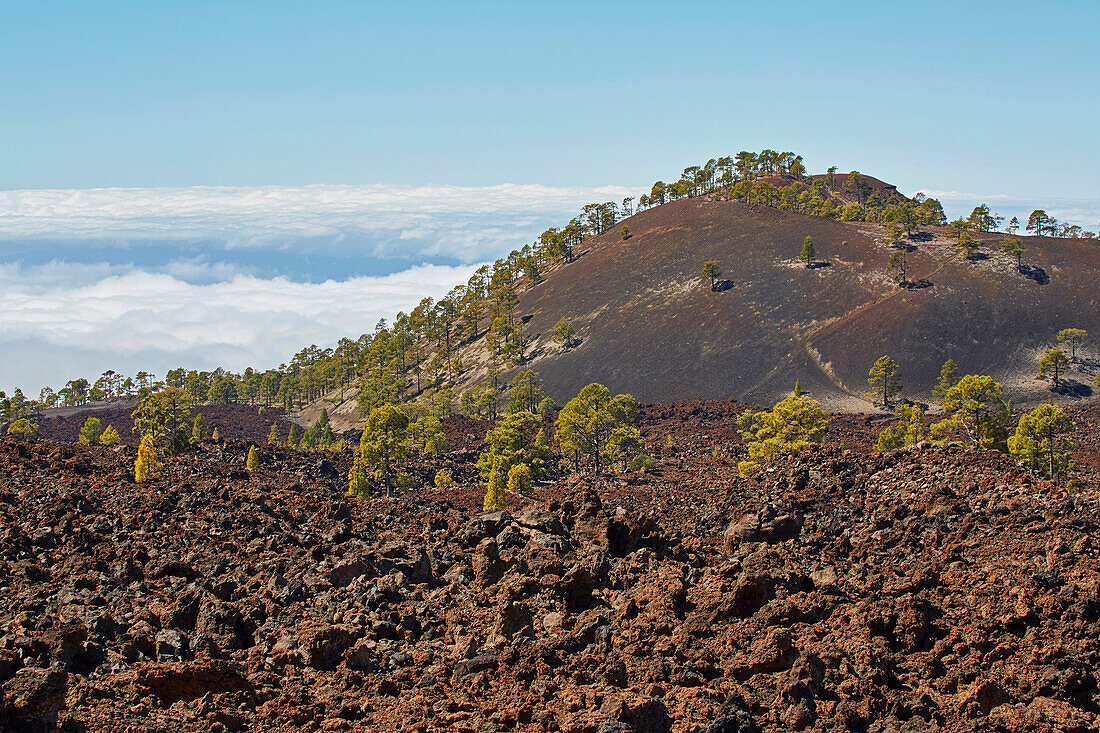 Montana Samara, Parque Nacional del Teide, Natural Heritage of the World, Tenerife, Canary Islands, Islas Canarias, Spain, Europe