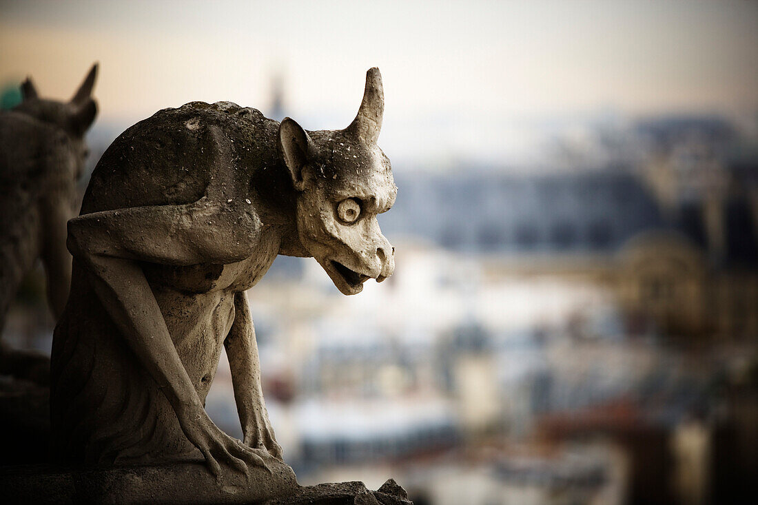 A carved stone gargoyle from the Galerie des Chim??res, sits on top of Notre Dame Cathedral.