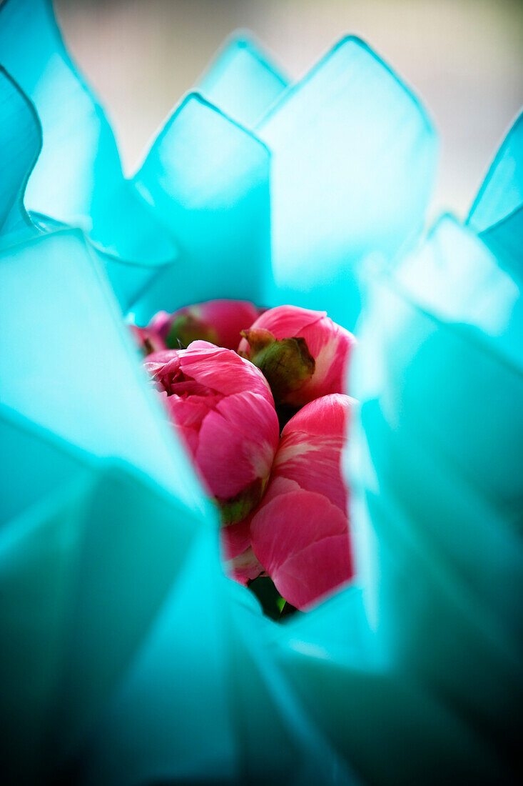 Close-up of tulips on display.