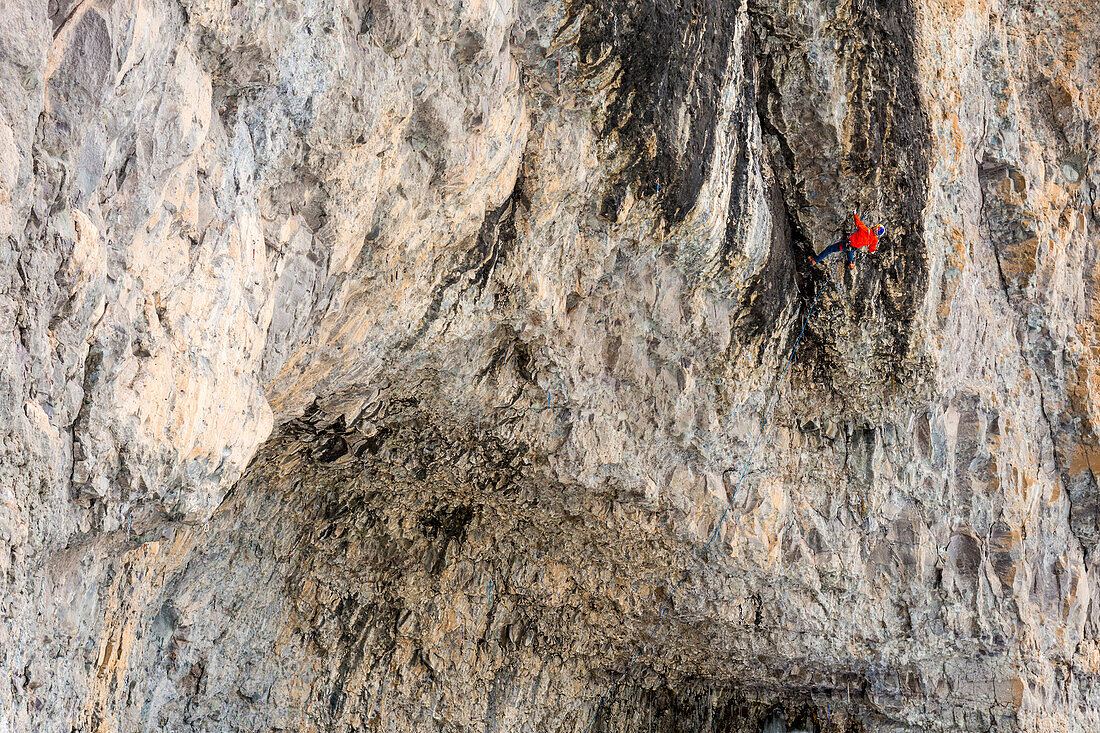 Man rock climbing cave route called Pull the Trigger Tigga at Hall of Justice, Camp Bird Road, Uncompahgre National Forest, Ouray, Colorado, USA