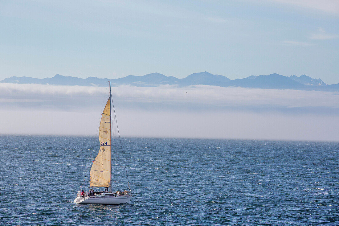 Sailboat sailing on waters off coast of Cortes Island, British Columbia, Canada