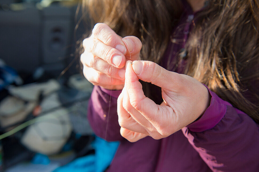 Close up of female anglers hands as she prepares her line for fishing in Colorado River, Silverthorne, Colorado, USA