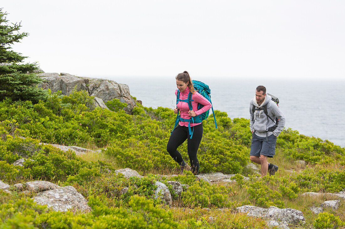 Man and woman walking on green cliffs during daytime, Acadia National Park, Maine, USA