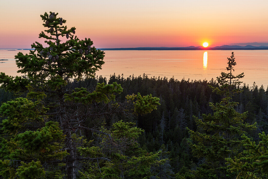 Scenery with coastline and forest at sunset as seen from Duck Harbor Mountain on Isle au Haut in Acadia National Park, Maine, USA