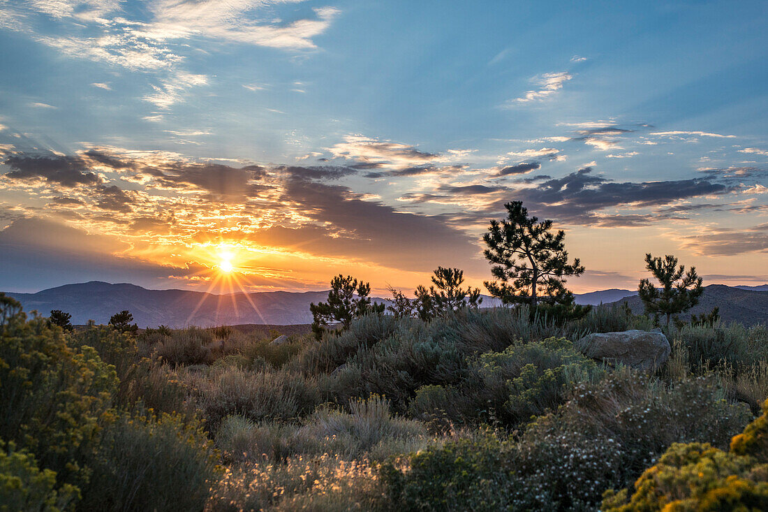 Scenery of desert at sunrise, Reno, Nevada, USA