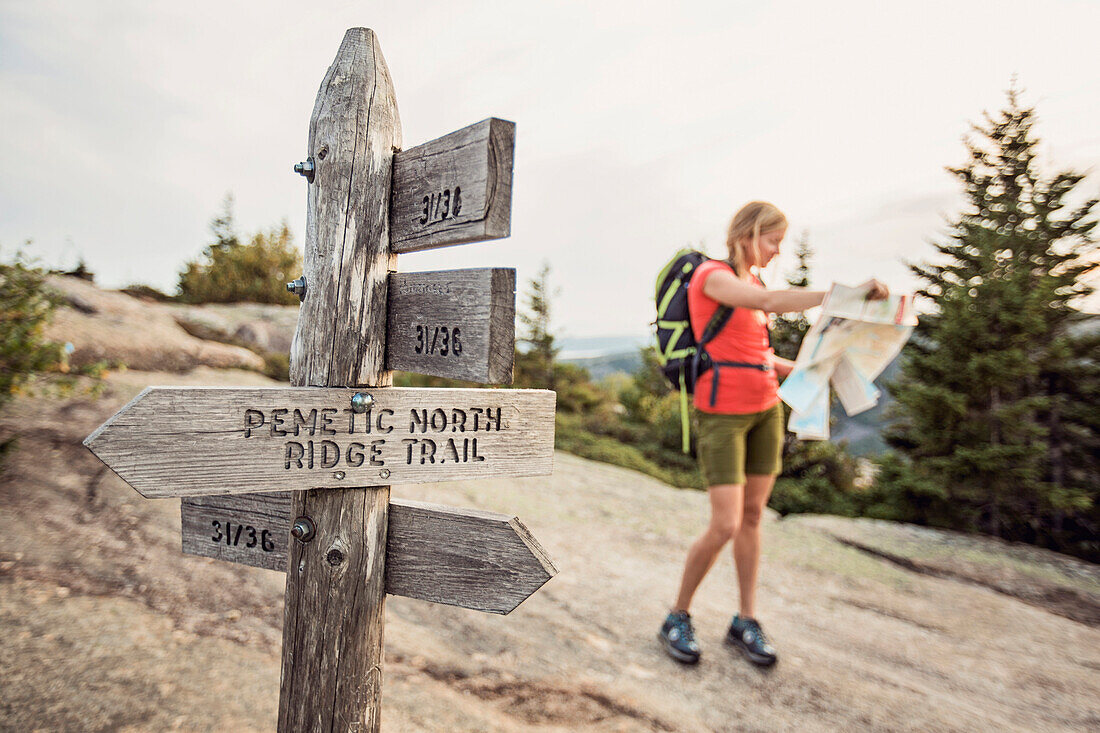Female hiker looking at map near trail post, Acadia National Park, Maine, USA