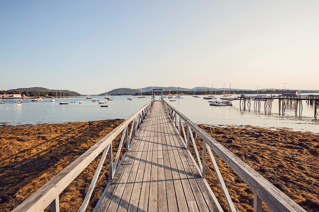 Pier and sailboats at Southwest Harbor, Maine, USA