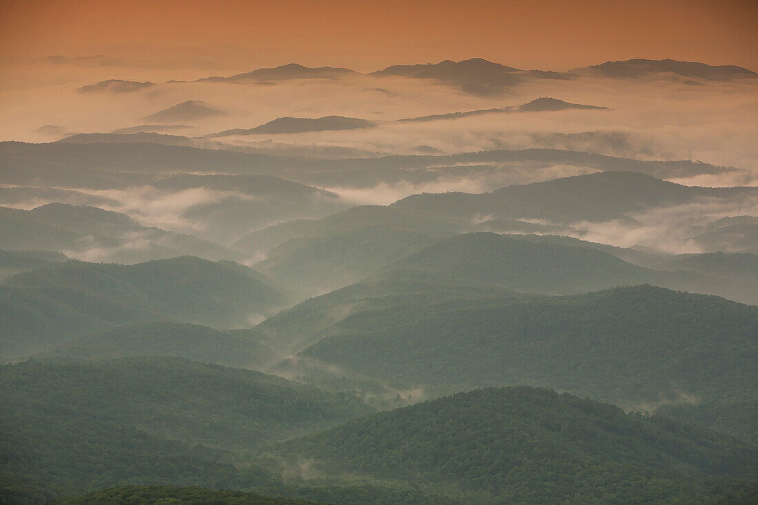 Aerial view of forested hills and Grandfather Mountain shrouded in morning fog, Linville, North Carolina, USA