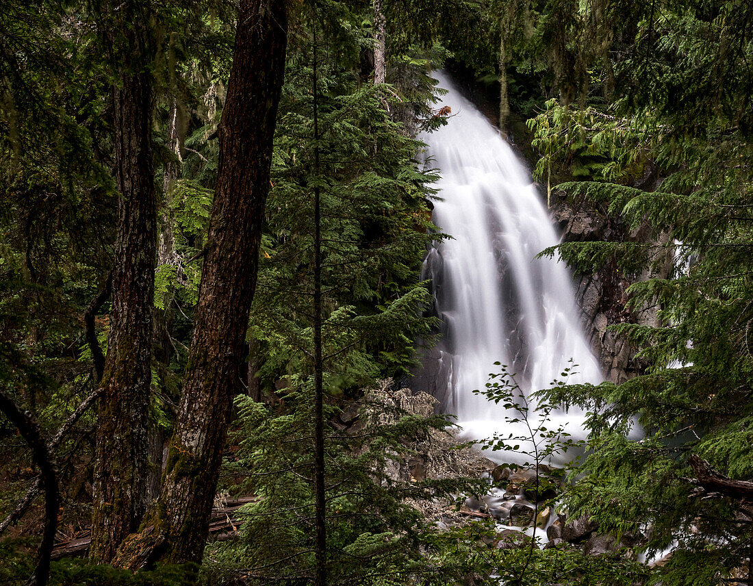 Spring run off leads to rivers and creeks running high with water. Here Rainbow falls in Whistler, British Columbia, Canada can be seen through a lush green forest.