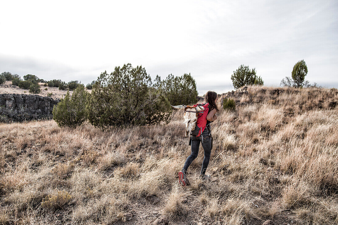 Woman hiking up hill after finding cow skull in desert, Prescott, Arizona, USA