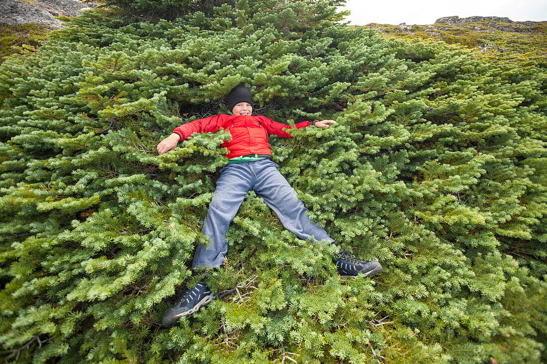 Hiker laying down and taking break in sub-alpine fir tree, Merritt, British Columbia, Canada