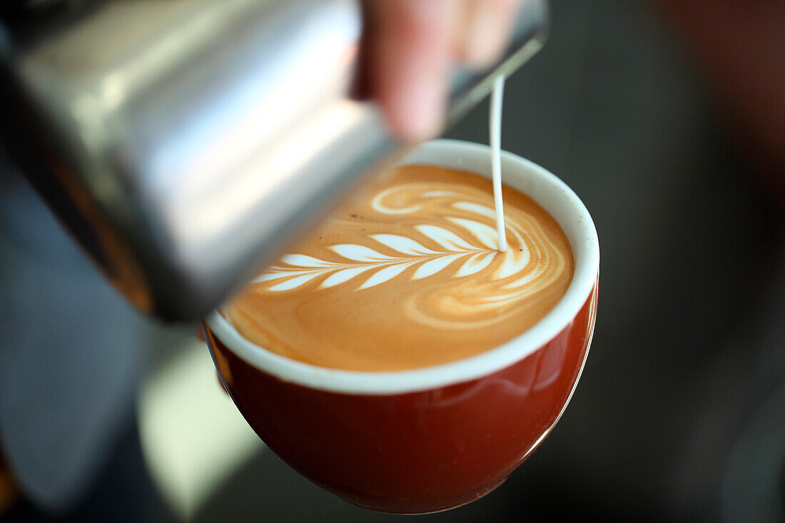 Barista pouring milk into cappuccino, Oakland, California, USA