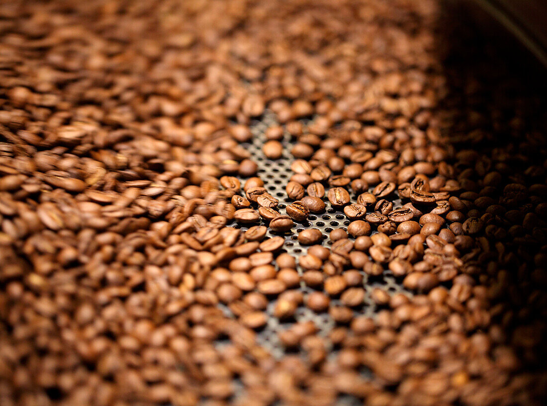 Lots of brown roasted coffee beans, Chelsea, Manhattan, New York City, USA