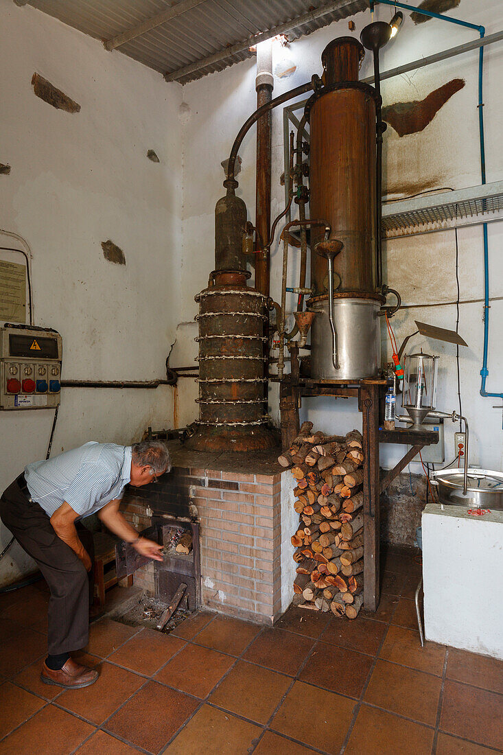 destillation, rum factory, worker, man, near Puerto Espindola, east coast, Atlantik, near San Andres, San Andres y Sauces, UNESCO Biosphere Reserve, La Palma, Canary Islands, Spain, Europe