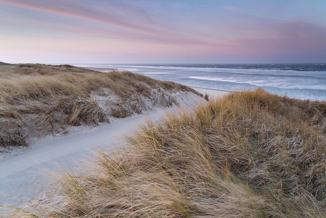 Düne, Morgenrot, Langeoog, Nordsee, Ostfriesische Inseln, Ostfriesland, Niedersachsen, Deutschland, Europa