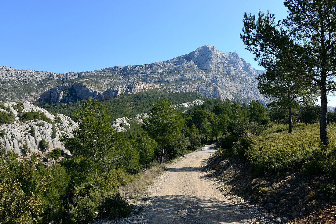 Hiken bei Le Tholonet unter dem Montagne Ste. Victoire, Provence, Frankreich