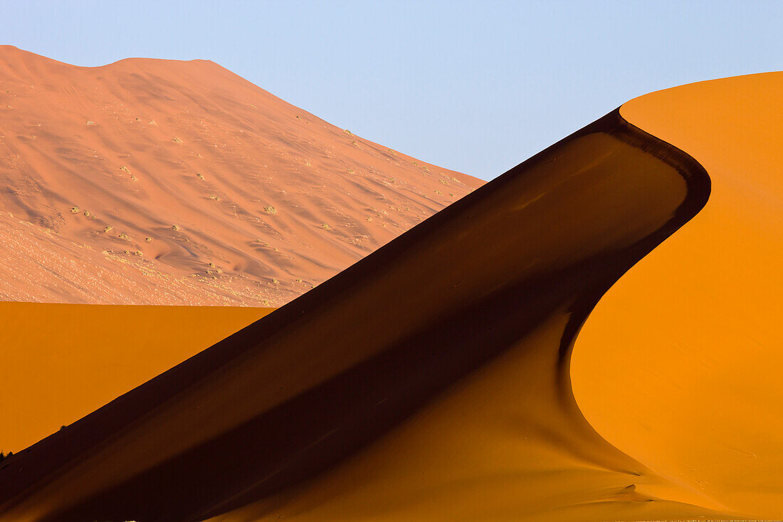 Sand dunes, Sossusvlei, Namib-Naukluft National Park, Namibia