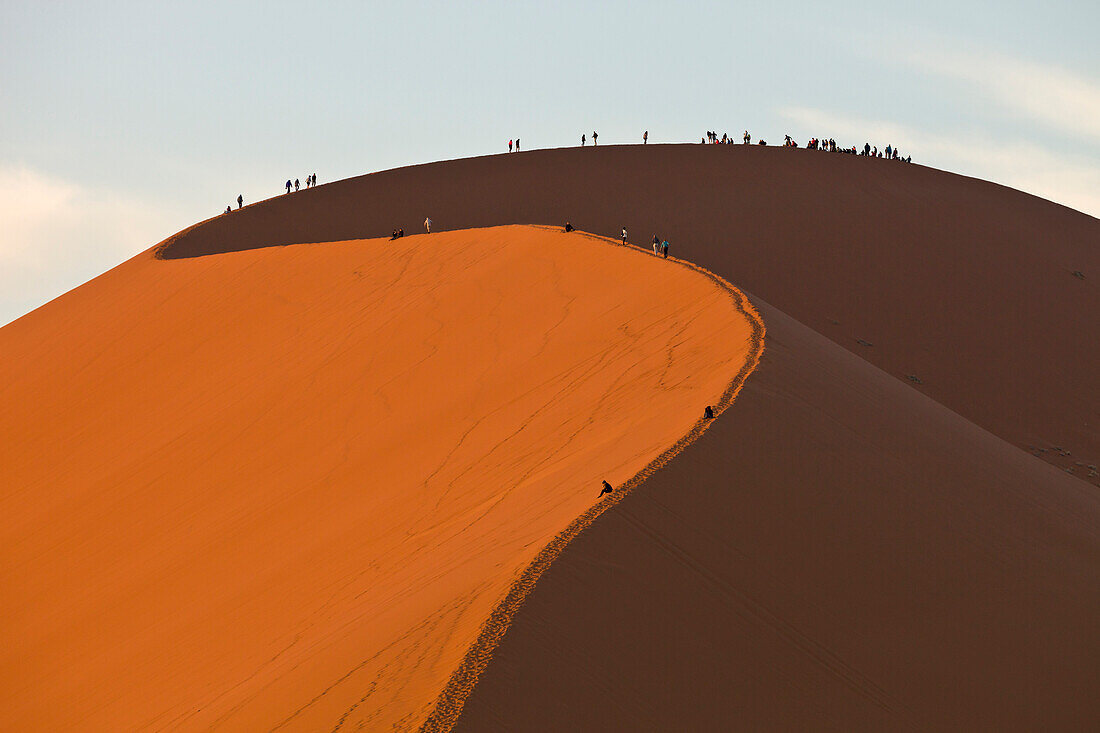 Tourists hiking on tall sand dune, Sossusvlei, Namib-Naukluft National Park, Namibia