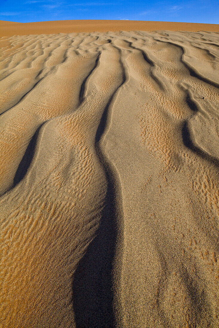 Sand patterns, Sossusvlei, Namib-Naukluft National Park, Namibia