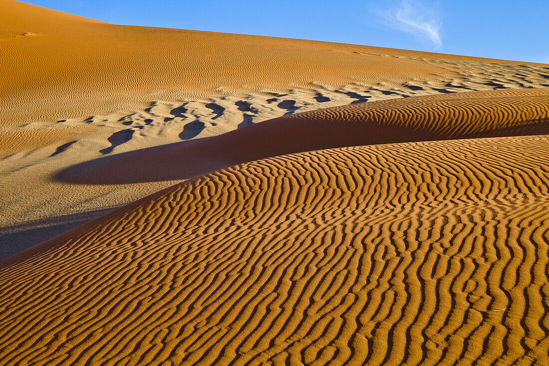 Sand dunes, Sossusvlei, Namib-Naukluft National Park, Namibia