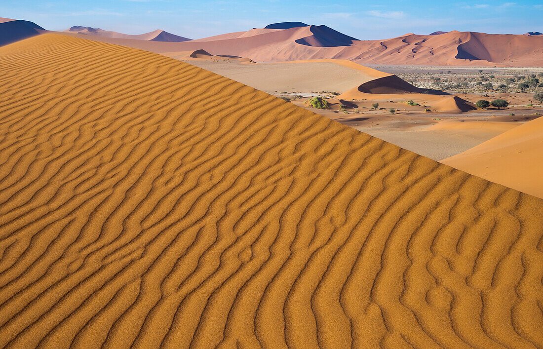 Sand dunes, Sossusvlei, Namib-Naukluft National Park, Namibia