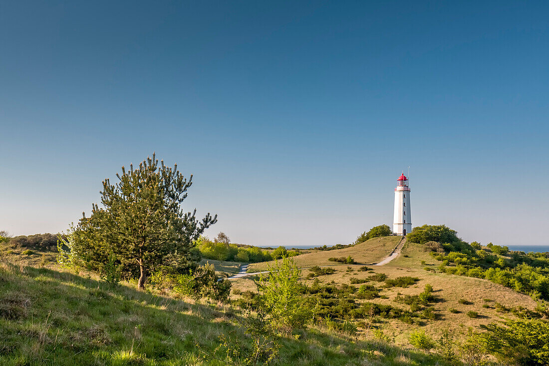 Leuchtturm, Dornbusch, Insel Hiddensee, Mecklenburg-Vorpommern, Deutschland