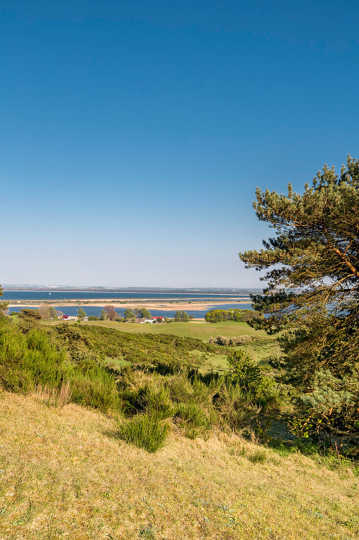 Dornbusch, Hiddensee island, Mecklenburg-Western Pomerania, Germany