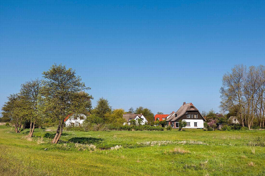 Thatched house, Vitte, Hiddensee island, Mecklenburg-Western Pomerania, Germany