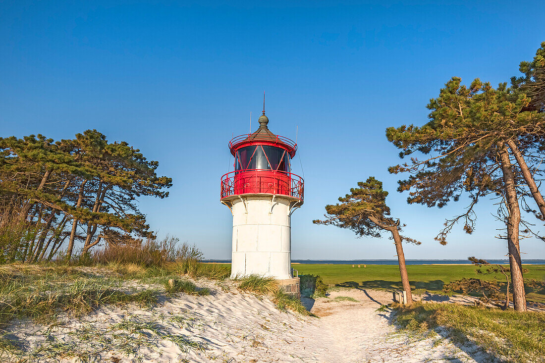 Leuchtturm Gellen, Insel Hiddensee, Mecklenburg-Vorpommern, Deutschland