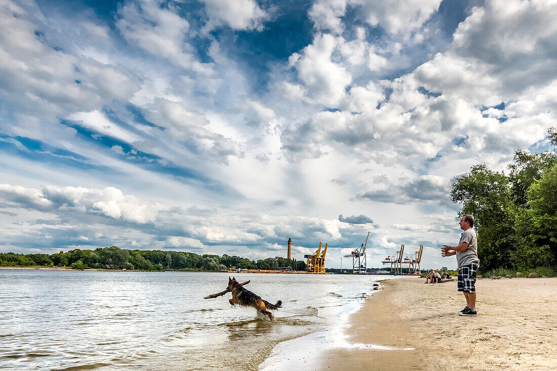 Hund am Strand vor Hafen, Swinemünde, Usedom, Polen