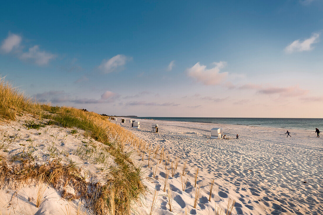 Sunset at the beach, Vitte, Hiddensee island, Mecklenburg-Western Pomerania, Germany