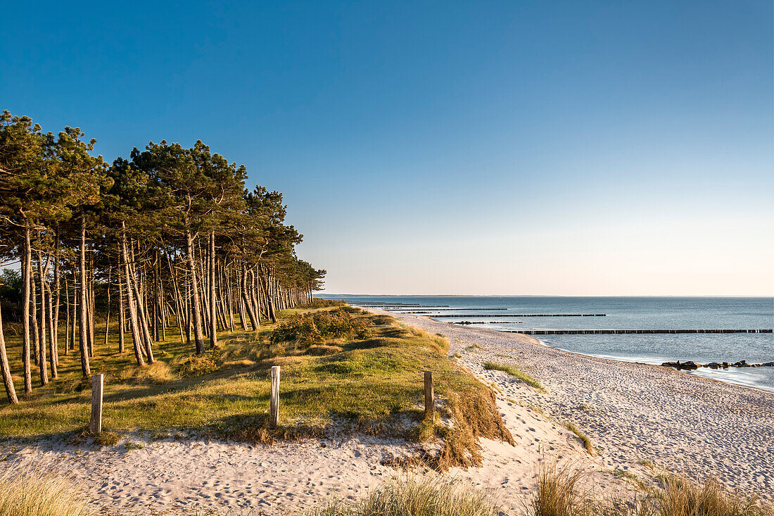 Beach, Gellen, Hiddensee island, Mecklenburg-Western Pomerania, Germany