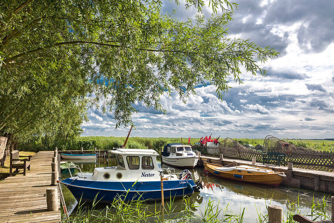 Hafen, Lütow, Halbinsel Gnitz, Usedom, Mecklenburg-Vorpommern, Deutschland