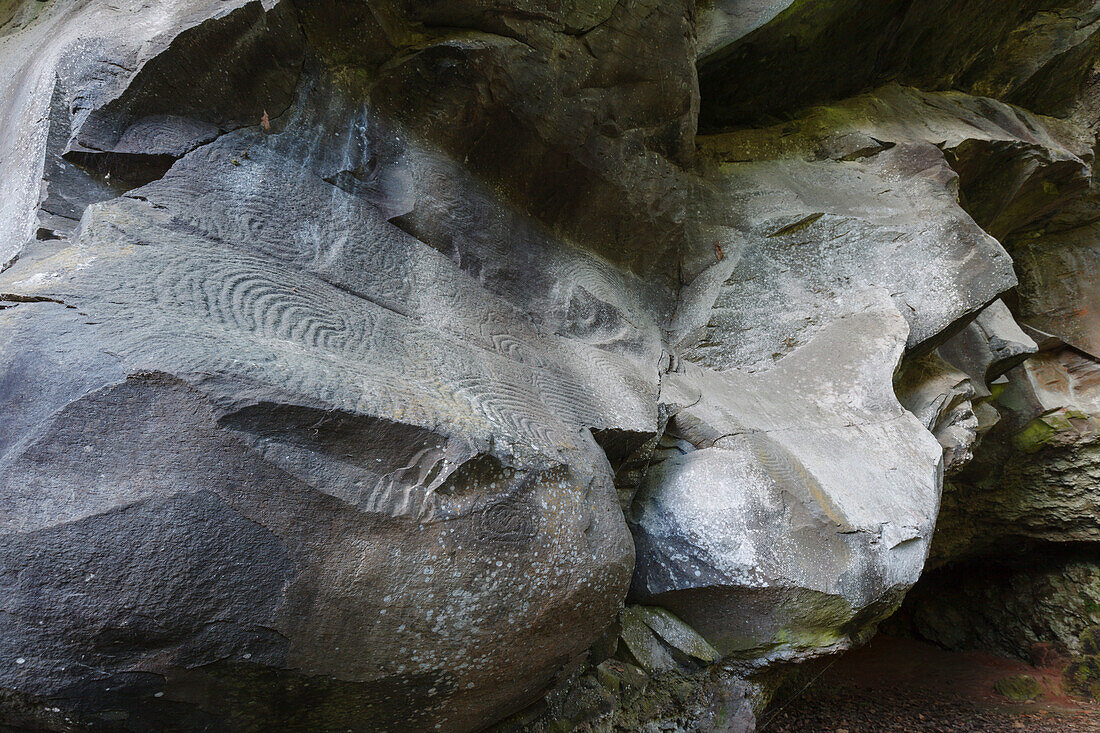 Petroglyphen, Parque Cultural La Zarza, Kulturpark La Zarza, Kunst der Ureinwohner, prähistorisch, bei La Mata, UNESCO Biosphärenreservat, La Palma, Kanarische Inseln, Spanien, Europa