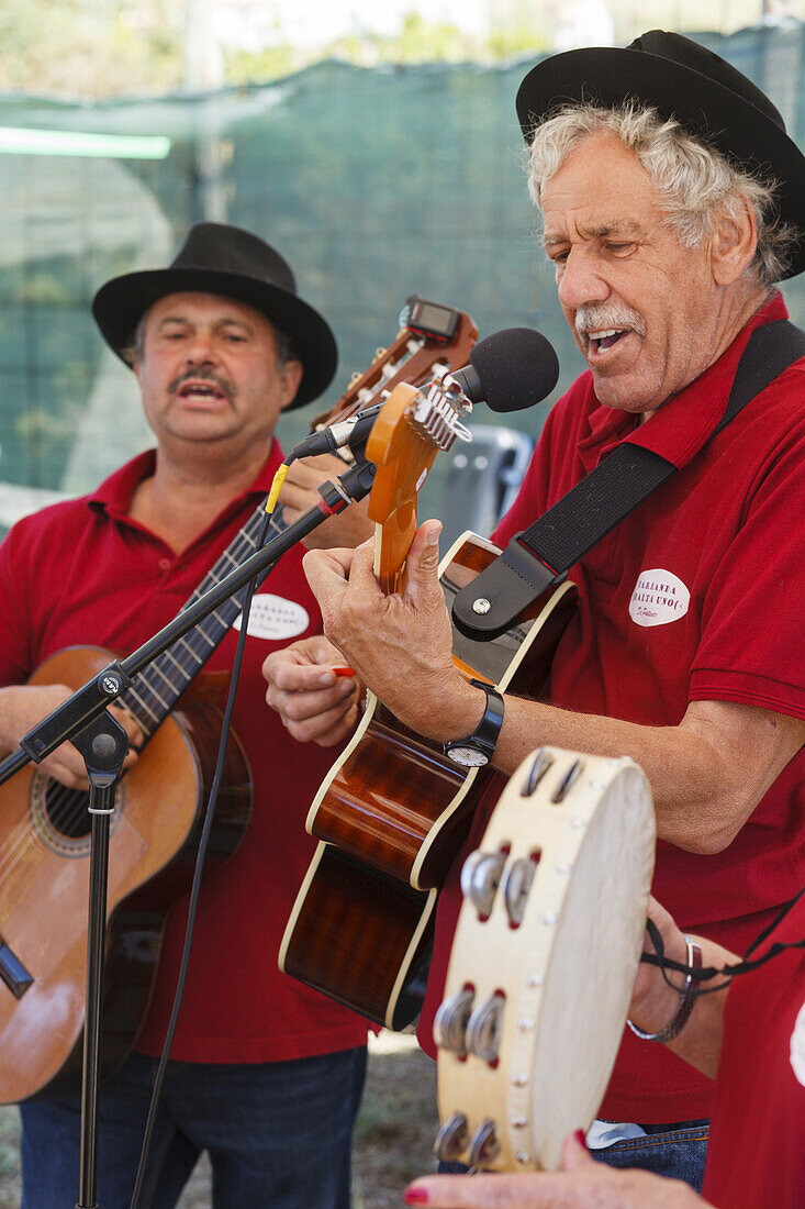 folk music band, livestock fair in San Antonio del Monte, Garafia region, UNESCO Biosphere Reserve, La Palma, Canary Islands, Spain, Europe