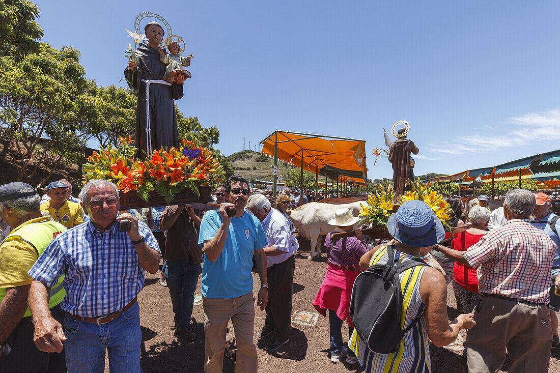 Prozession zu Ehren des Patrons San Antonio, Viehmesse in San Antonio del Monte, Region Garafia, UNESCO Biosphärenreservat,  La Palma, Kanarische Inseln, Spanien, Europa