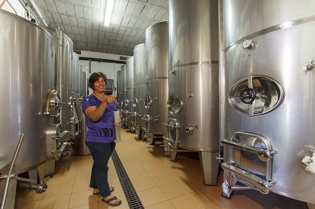 Arbeiter, Frau, Edelstahltanks, Wein, Bodega El Nispero, El Castillo, b. Garafia, UNESCO Biosphärenreservat,  La Palma, Kanarische Inseln, Spanien, Europa