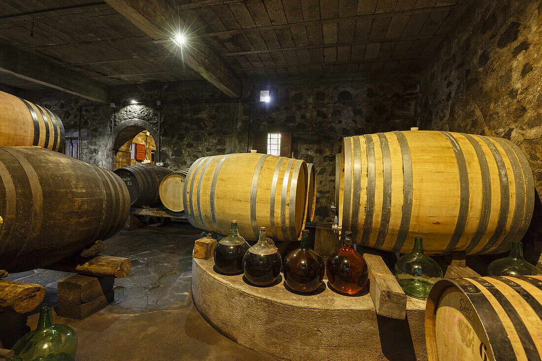 Weinfässer, Bodega Matias i Torres, Fuencaliente, UNESCO Biosphärenreservat,  La Palma, Kanarische Inseln, Spanien, Europa