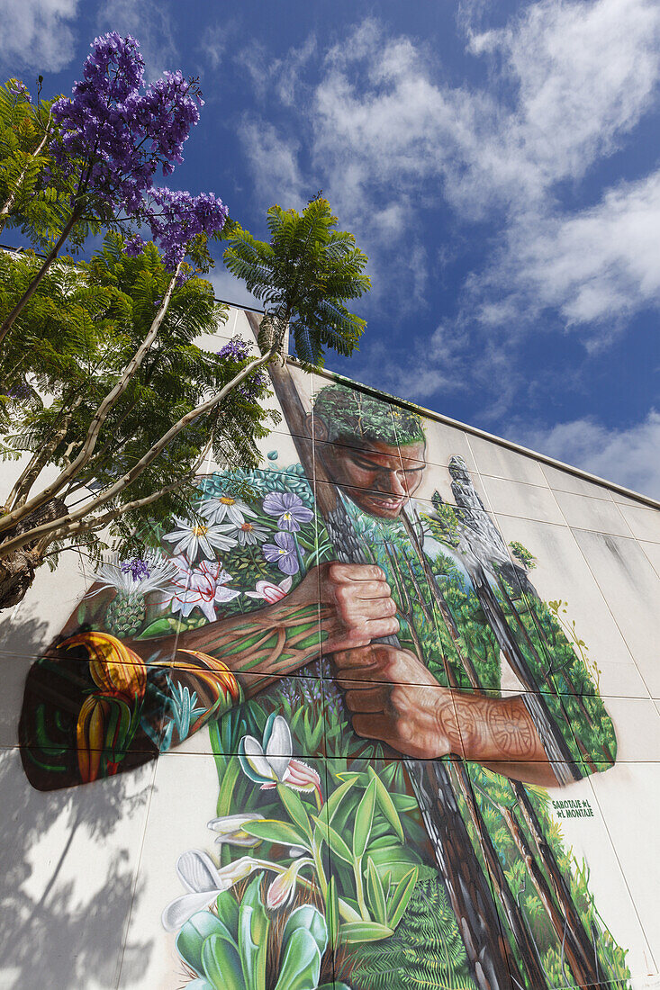 Graffiti Tanausu, Wandgemälde von Matias Mata, alias Sabotaje al Montaje, Casa de la Cultura, Kulturzentrum, El Paso, UNESCO Biosphere Reserve, La Palma, Canary Islands, Spain, Europe