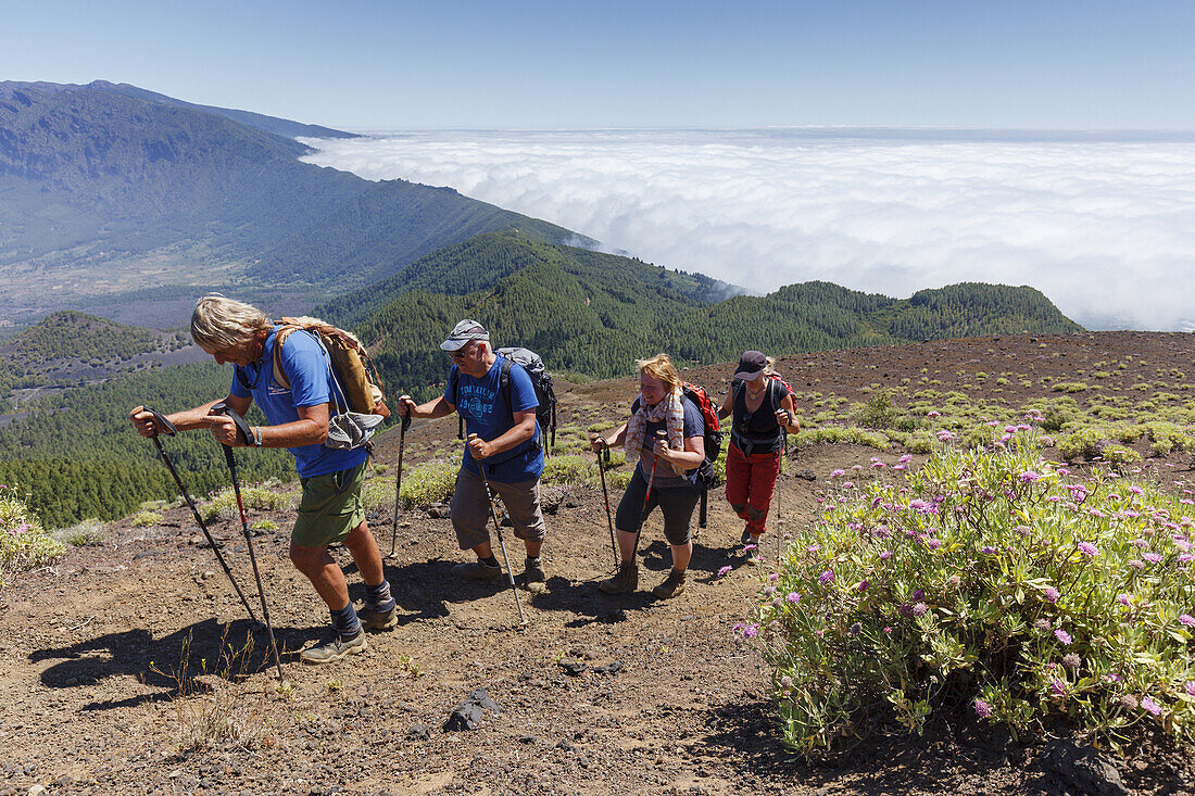 hiking, group, ascent to Birigoyo mountain, 1807m,  Parque Natural de Cumbre Vieja, UNESCO Biosphere Reserve, La Palma, Canary Islands, Spain, Europe