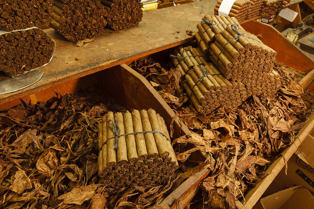 Zigarren und Tabakblätter, Zigarrenmanufaktur, Brena Alta, UNESCO Biosphärenreservat, La Palma, Kanarische Inseln, Spanien, Europa
