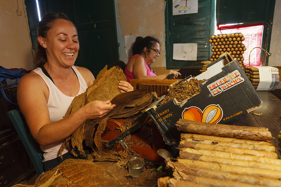 Arbeiter, Frau, Zigarrenmanufaktur, Brena Alta, UNESCO Biosphärenreservat,  La Palma, Kanarische Inseln, Spanien, Europa